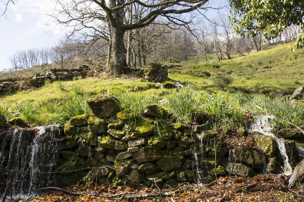 Casa Rural Fuente El Boticario Aldeanueva de la Vera Esterno foto